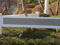 Middlesex Commons | Darien, CT